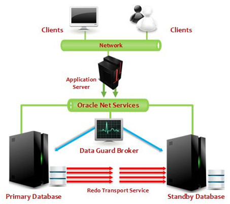 ORACLE ACTIVE DATA GUARD – NAMED USER PLUS PERPETUAL tính năng
