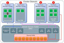 ORACLE REAL APPLICATION CLUSTERS – NAMED USER PLUS PERPETUAL