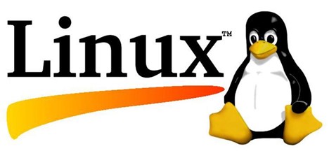 bản quyền linux