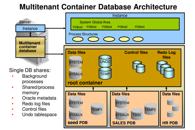 Oracle Database Enterprise Edition - Processor Perpetual