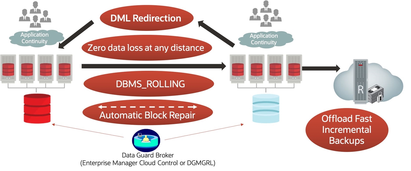 ORACLE ACTIVE DATA GUARD – PROCESSOR PERPETUAL