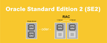 ORACLE DATABASE STANDARD EDITION 2 – PROCESSOR PERPETUAL