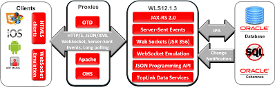 TÍNH NĂNG CHÍNH ORACLE WEBLOGIC SUITE